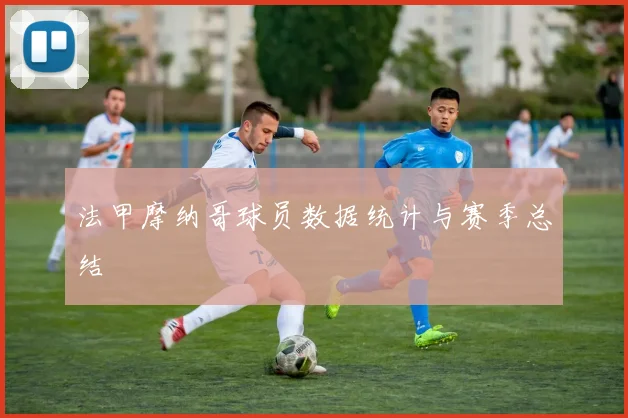法甲摩纳哥球员数据统计与赛季总结