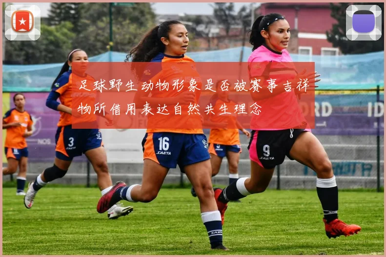 足球野生动物形象是否被赛事吉祥物所借用表达自然共生理念